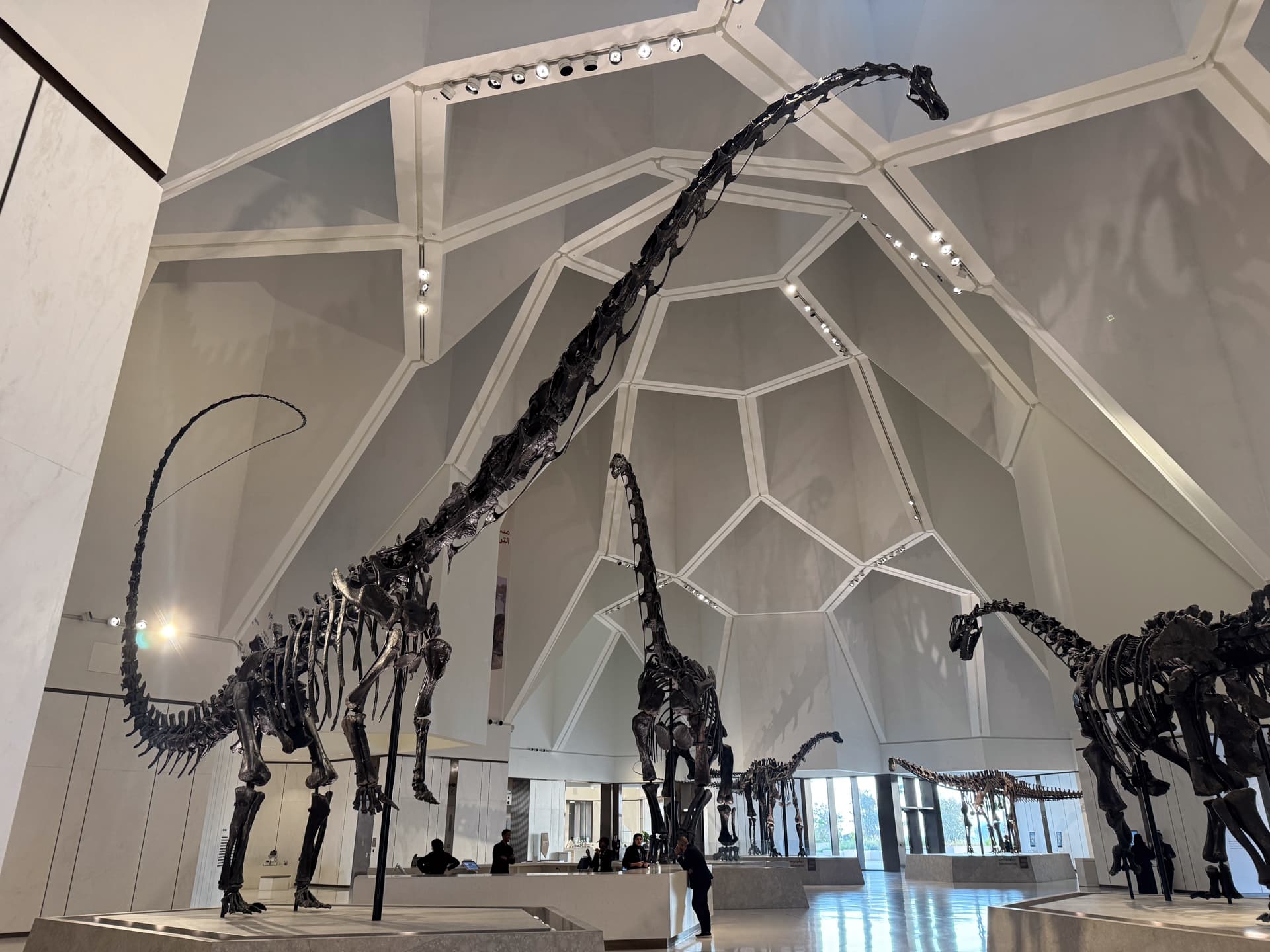 Exhibits at arrival hall