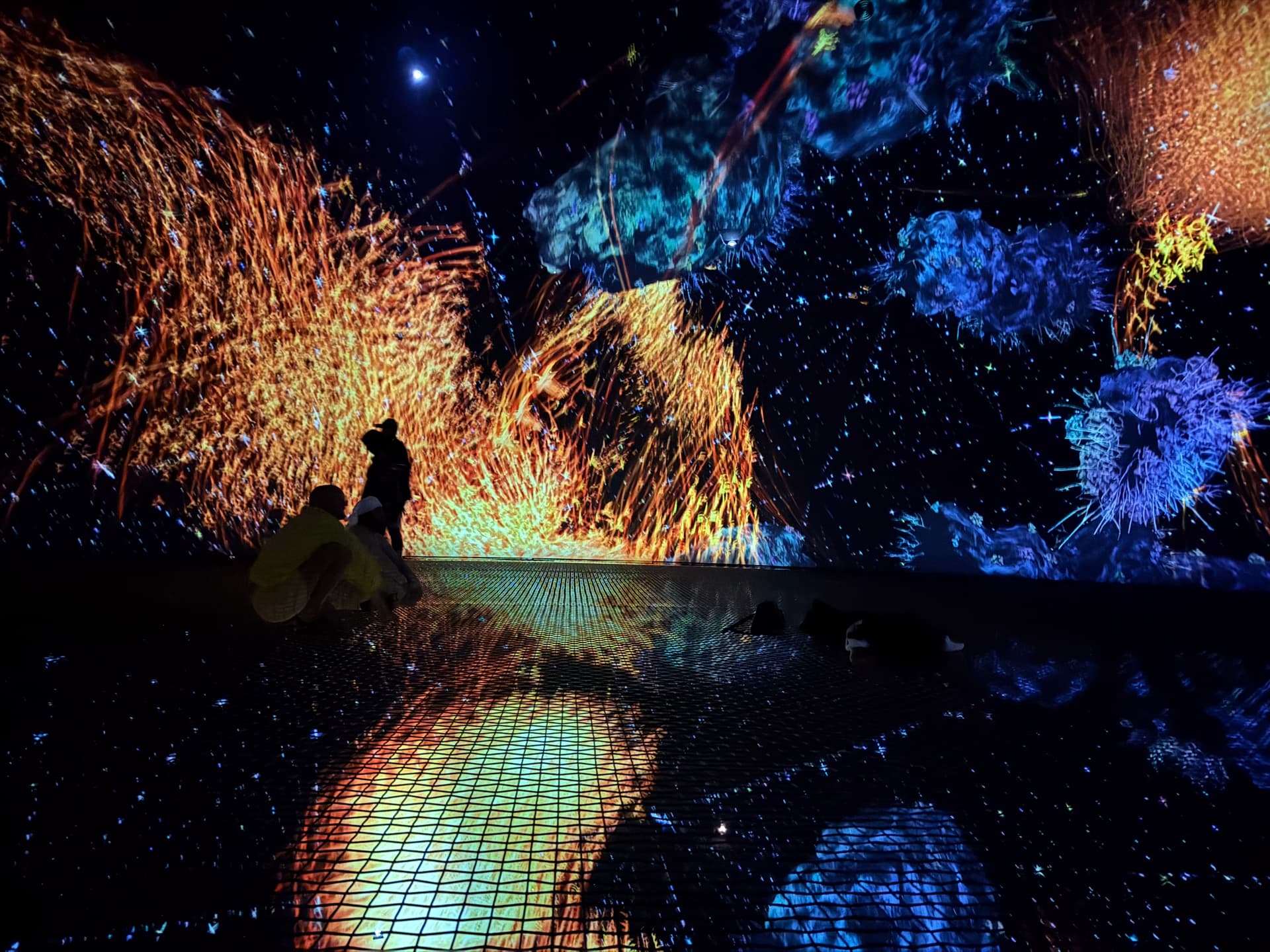 teamLab light and projection installation